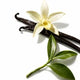Witch Hazel Extract